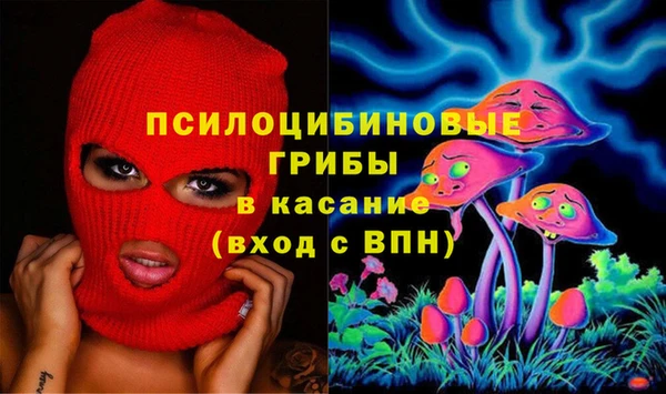 МДПВ Белокуриха