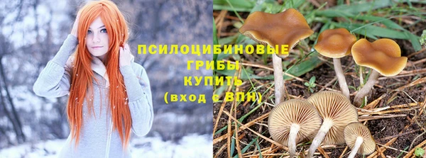 МДПВ Белокуриха