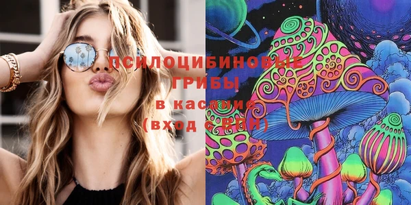 МДПВ Белокуриха